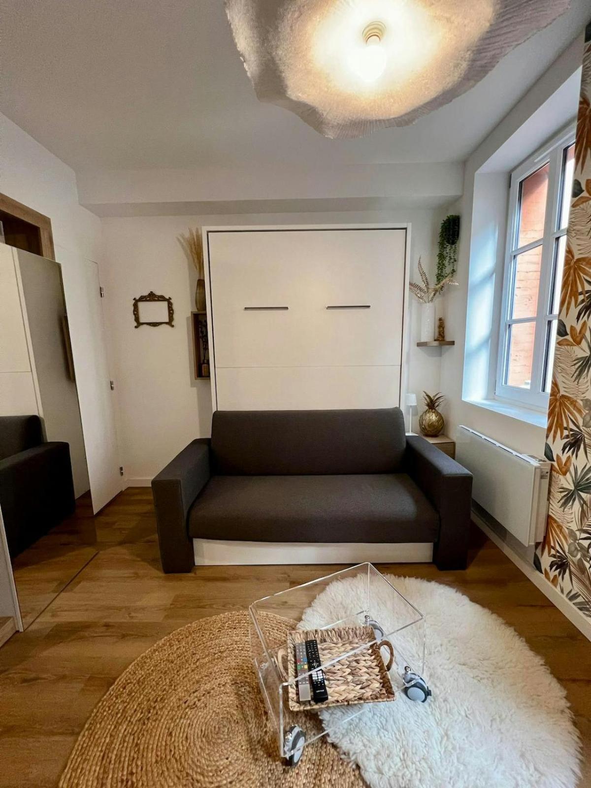Apartament Casa Nostra - T1 - Terrasse Privative Tuluza Zewnętrze zdjęcie